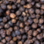 Profile picture of buyblackpepper